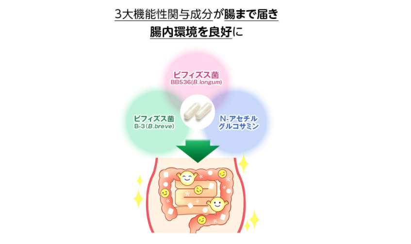 ファンケル内脂サポート体験談 いつ飲む?痩せる? 6か月飲んでみた!