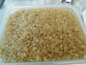 100均 ダイソーの穀物保存容器 サイズは2種類？お米は何キロ入る？セリアとの違いも比較！
