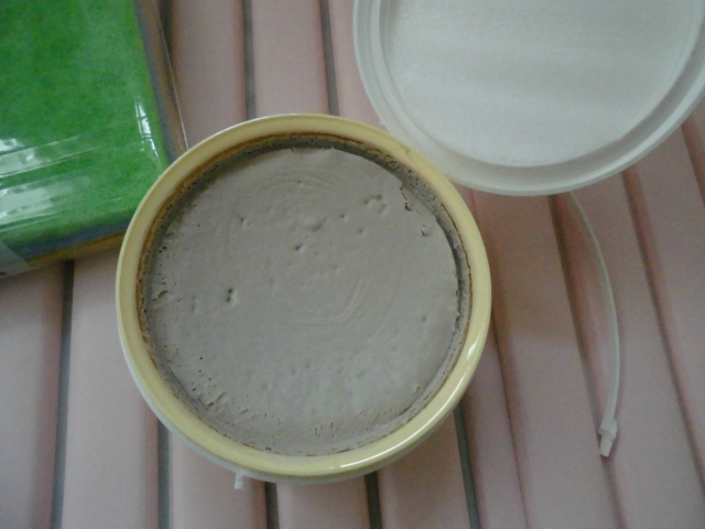 ハイホーム クレンザーの使い方&どこに売ってる?